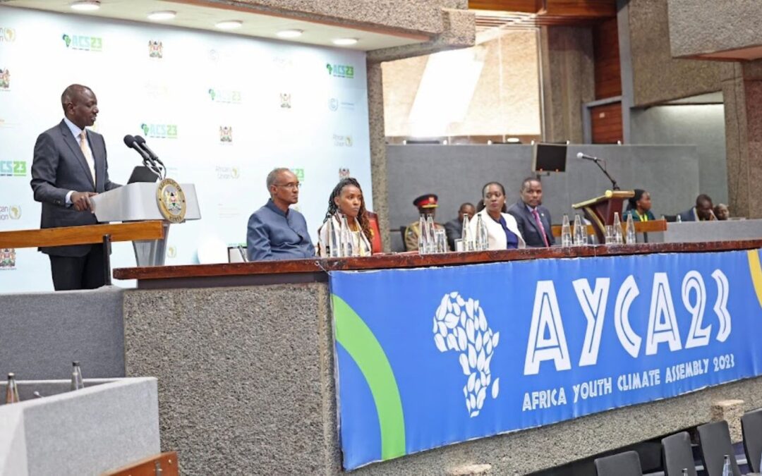 The African Climate Youth Assembly (AYCA)
