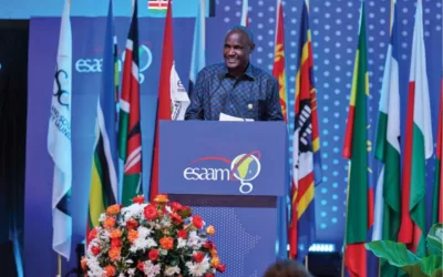 ESAAMLG Taskforce, Council of Ministers & Public–Private Sector Dialogue