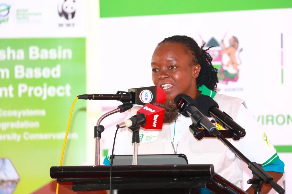 National Environment Trust Fund (NetFund)