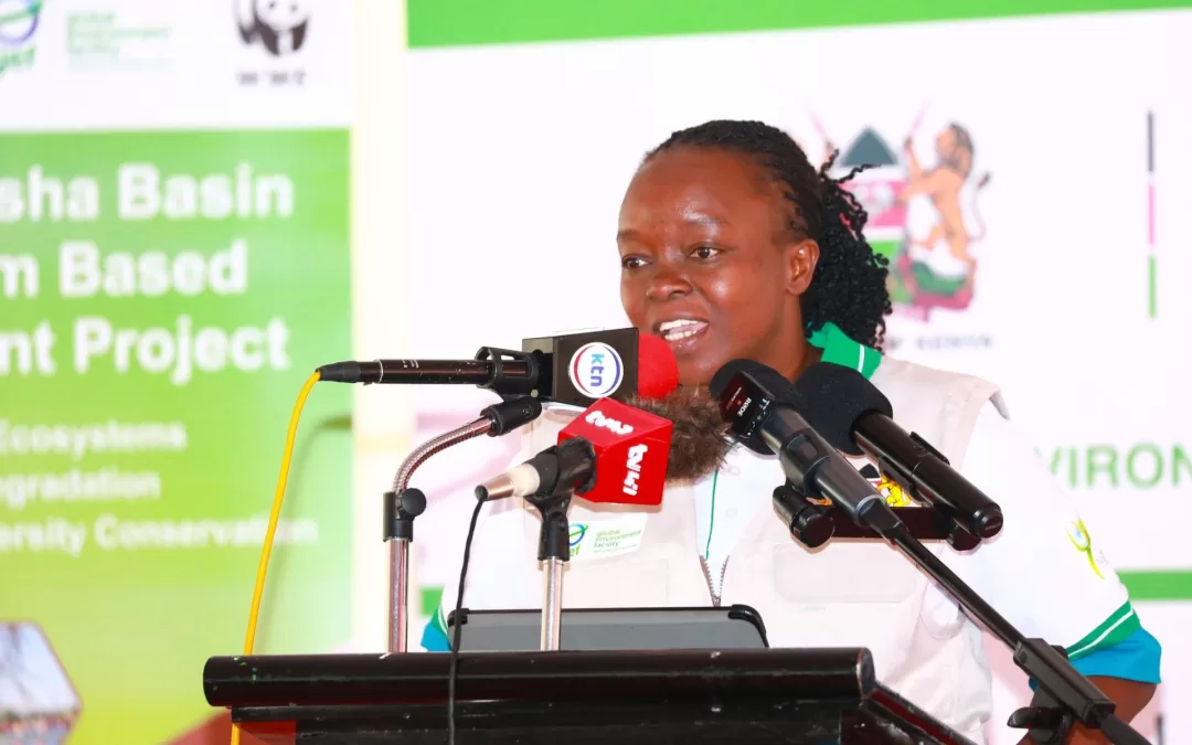 National Environment Trust Fund (NetFund)